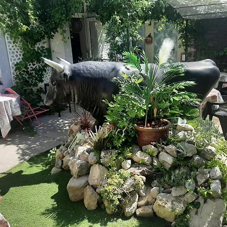 Hotel La Tour Des Fees Quissac  Bagian luar foto